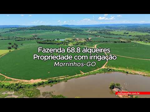Fazenda á venda de 68.8 alqueires (333 ha) Morrinhos-GO - Propriedade com irrigação #fazendaavenda