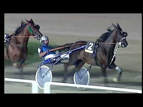 Napoli Trotto 24/08/2022 - 8ª corsa