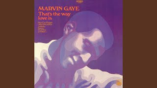 Gonna Give Her All The Love I&#39;ve Got