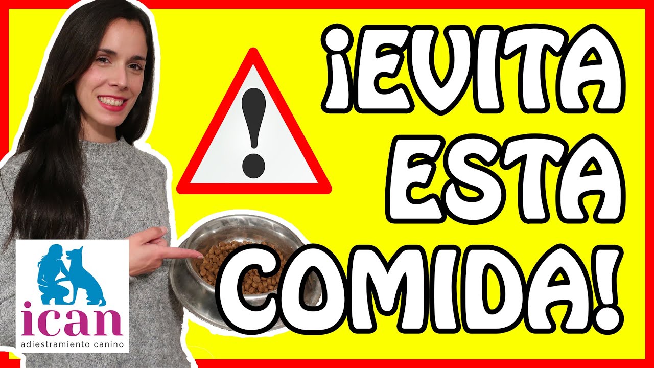 ALIMENTO DAÑINO❌ para tu PERRO ¡📣EVITA ESTE PIENSO/CROQUETAS! MITOS‼️⛔