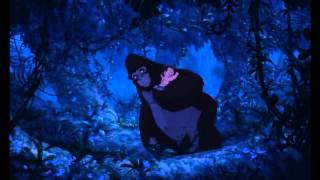Toujours dans mon coeur - Phil Collins [Tarzan] Cover (Sailor Lilith et Stellatsu)