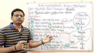 Antihyperlipidemic Drugs (Part 06 Final) Nicotinic Acid (Niacin)= Mechanism of Action (HINDI)