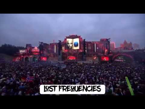 Lost Frequencies- Reality @t Tomorrowland 2019