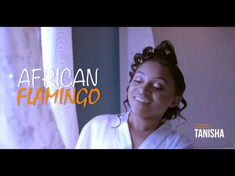 Stylo Black - African Flamingo (official video)