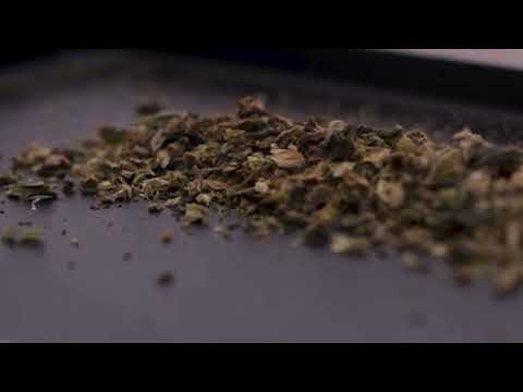 Elevate your grinding experience with the Auto9, the latest innovation from Cloudious9