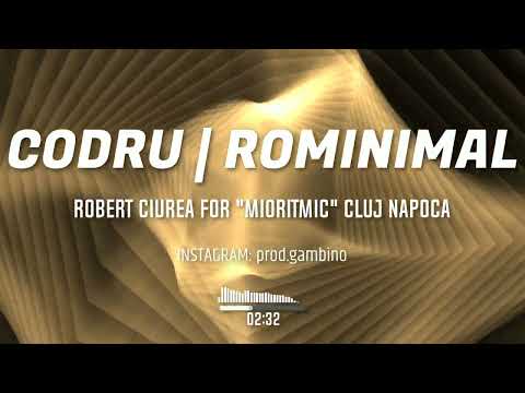 Robert Ciurea - CODRU | Microhouse | Rominimal FOR "MIORITMIC" CLUJ NAPOCA