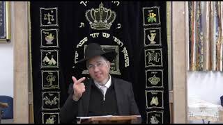 פרשת תצוה - פורים - יש במאי להצגה - הרב שלמה ברסקה שליט"א