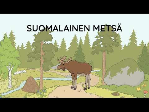 Kielinuppu - Suomalainen metsä