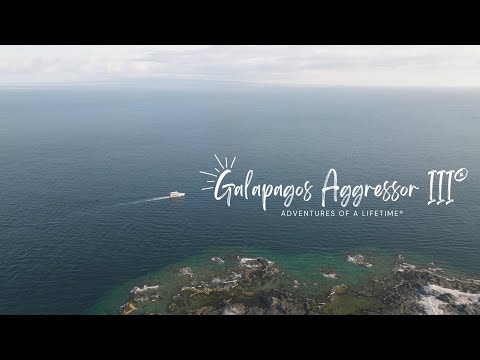 Galapagos Aggressor III | Adventures of a Lifetime | 2025