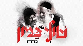 שולי רנד - פרח