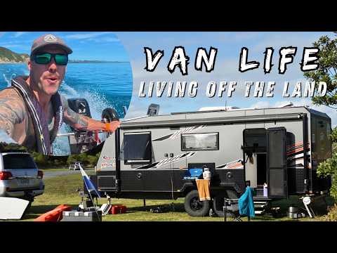 NZ Solo Van Life: Seafood & Beach Camping Adventure