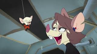 ANIMANIACS - Julia Brain