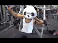 The Annoying Panda
