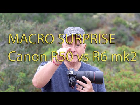 Canon R50 vs R6 mk2 Surprises doing Macro photography