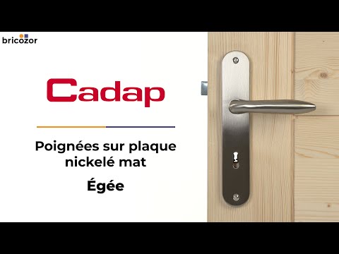 Poignées de porte en alu sur plaques acier - entraxe 195 mm - Égée CADAP