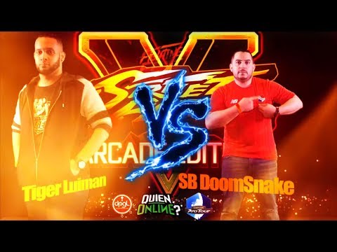 Top 8. FFEST  2018 Tiger Luiman (DH) vs DoomSnake winner Side