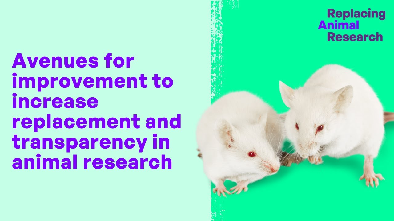 Avenues for improvement to increase replacement and transparency in animal research