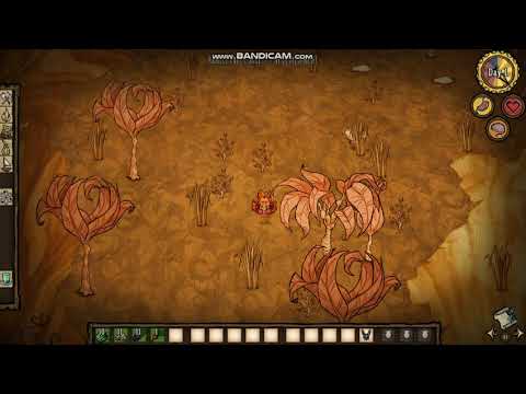 Don't Starve Hamlet Pugalisk Speed Run (Wilba) (Part 1)