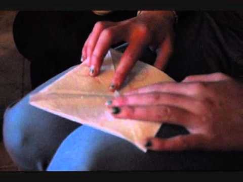 The Polyamorous Affair - Satellite of Love (Lou Reed cover)