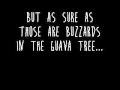 The Mountain Goats - Alpha Sun Hat (Lyrics)