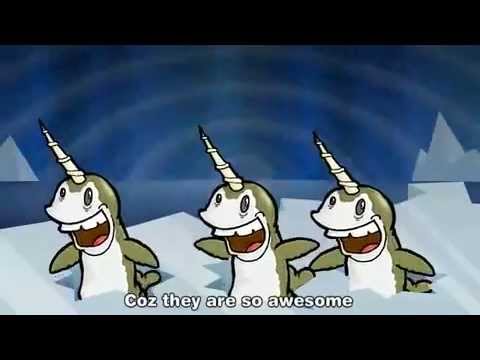 Narwhals song