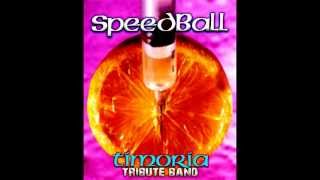 SpeedBall-Timoria Tribute Band - Boccadoro