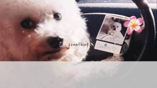 [Vietsub] SOMETHING | Gnash