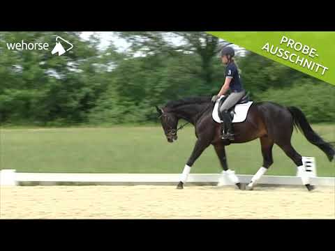 Innere und äußere Losgelassenheit erreichen | Reinhart Koblitz