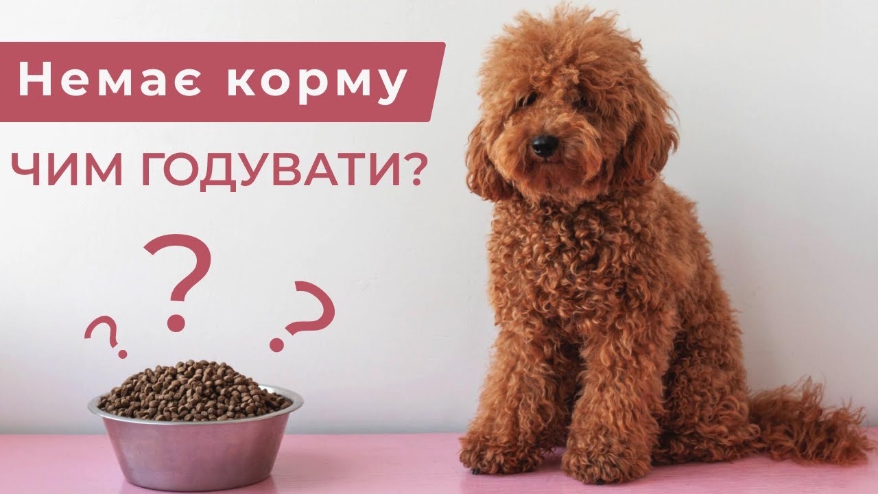 YouTube video preview