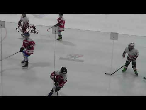 Janesville Youth Hockey 8U Red 12.19.21 Championship Game Period Three