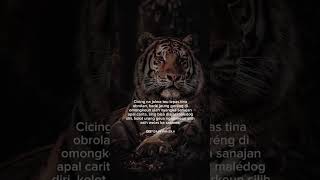 Download lagu 16 Februari 2024 mp3