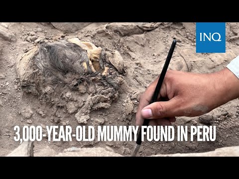 3,000-year-old mummy found in Peru