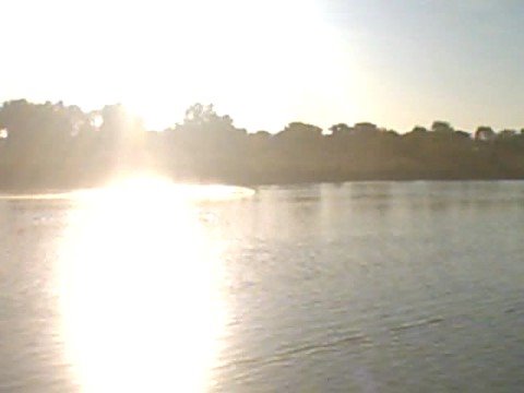 Carbon Rocket 3,5cc hélice M445