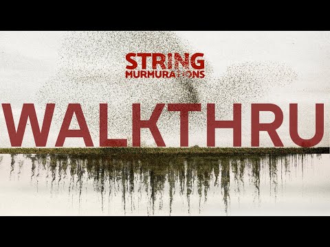 Free Download String Murmurations v1.1.0 WiN-R2R