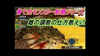 【MHXX/縛りプレイ】一撃必殺！♀のサマソ怖しゅぎぃ【＃１４】