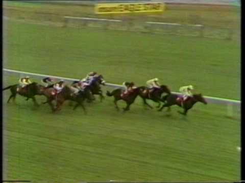 1986 William Hill Futurity Stakes