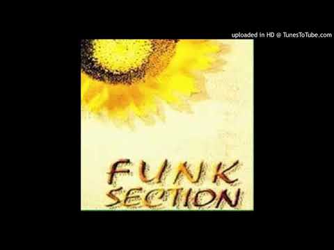 Funk Section - Terpesona - Composer : Ekka Bakti & Angelique 1997 (CDQ)