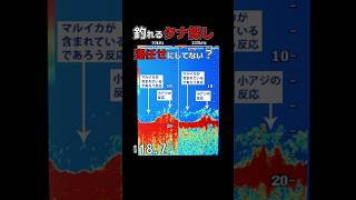 【イカメタル】釣果は運じゃない！タナを最速で見つける「最強の裏技」🦑 #ケンサキイカ  #イカメタル #shorts