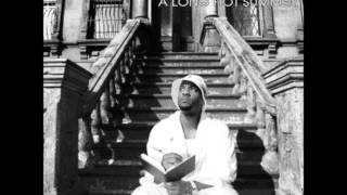 Masta Ace-Brooklyn Masala (Best Quality)