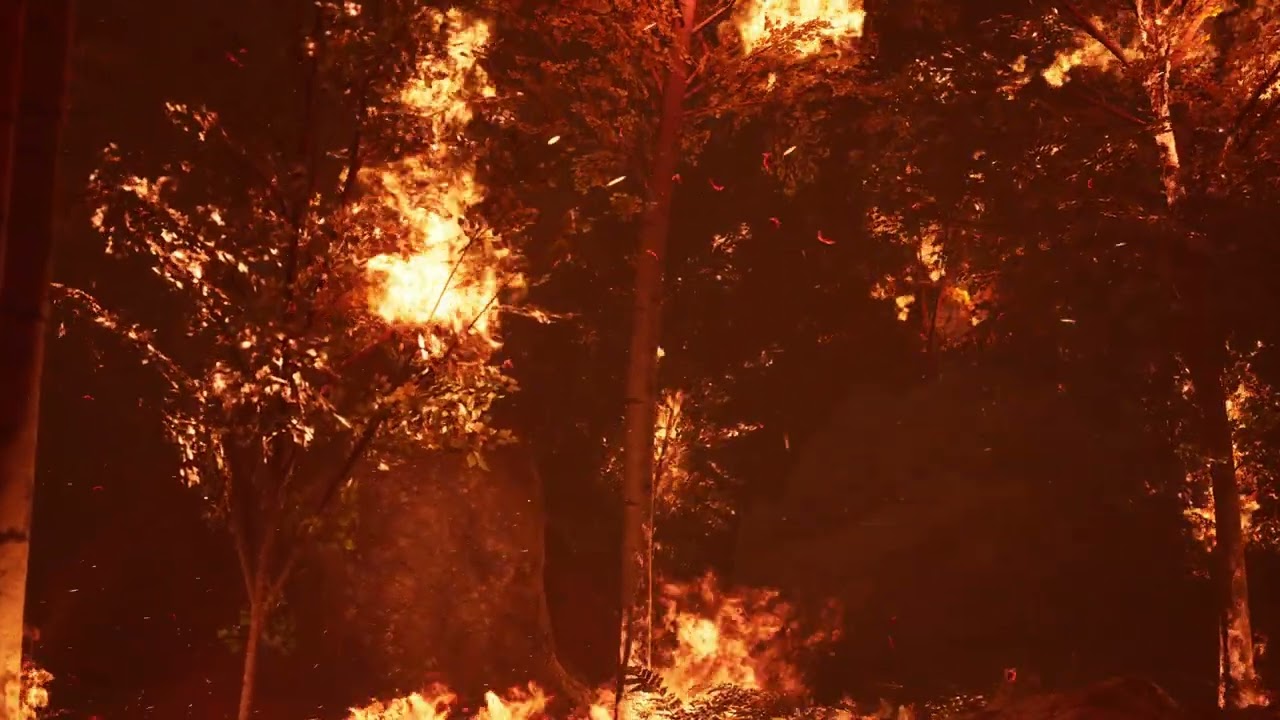 Large Flames of Forest Fire at Night