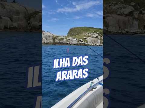 Ilha das Araras em Imbituba Santa Catarina #dj #fishing #pescaria #ilhadoslobos