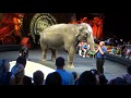 Circus Ringling Bros And Barnum Bailey Wmv