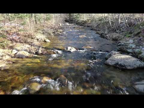 TOUR of Our 0.9 Acre Parcel in Randolph, NH | Compound Holdings LLC | Drone Footage
