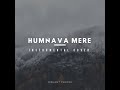 Humnava Mere Instrumental Cover