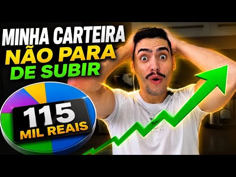 Análise de carteira de investimentos: estratégias e aprendizados