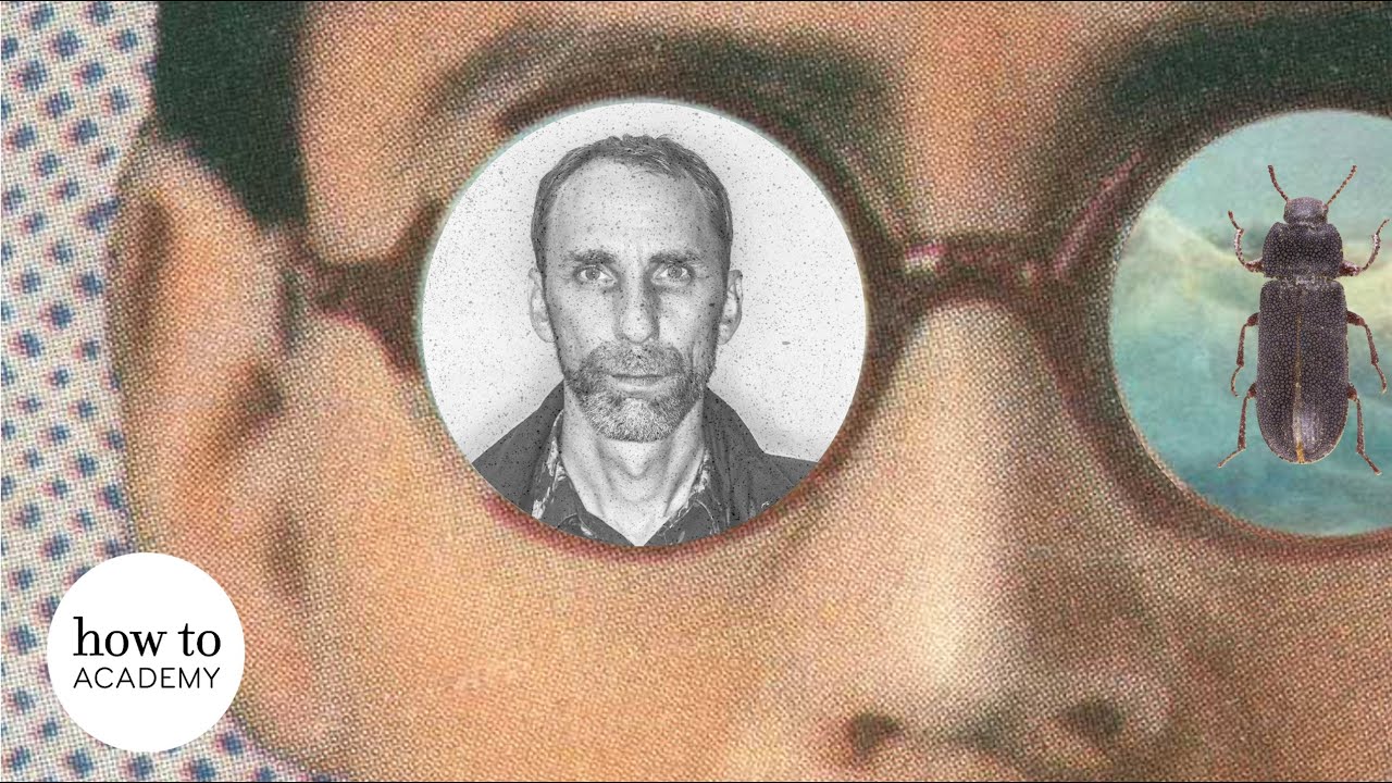 Will Self on Franz Kafka