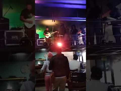 Rasta tip and the savent seals