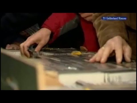 GLD Nieuws 29 maart 2008 - Nieuws