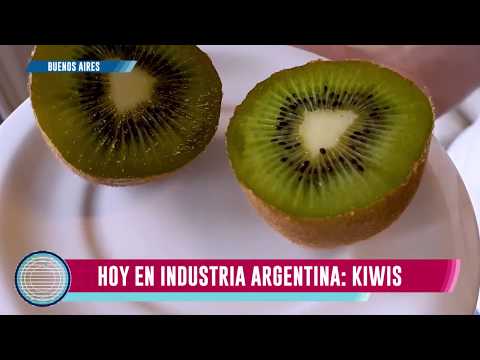 Kiwi, Industria argentina