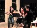 Smash the windows - Irish jig: keyless flute, violin ...